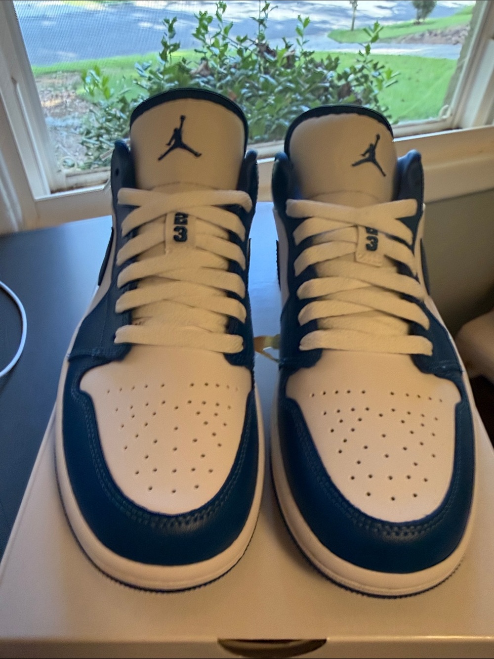 Women’s Air Jordon Low Sneakers - White & Blue